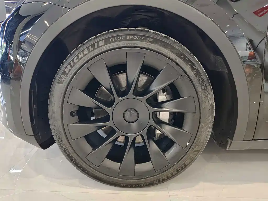 Tesla Model Y — миниатюра 10