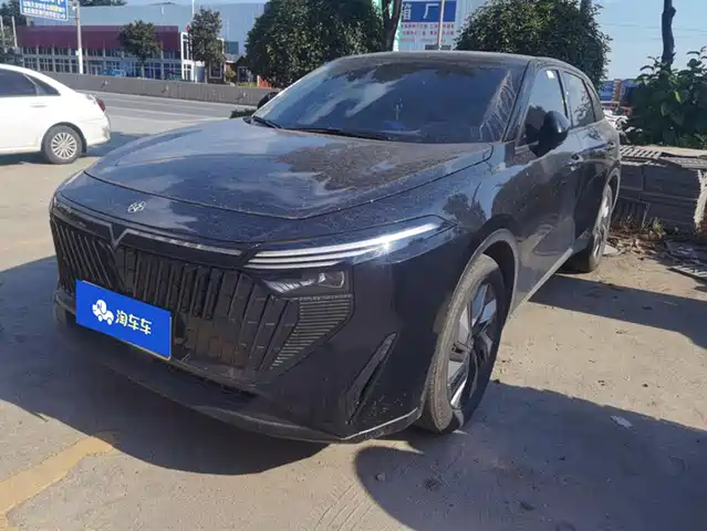 QICHEN  BIG V DD I 2024