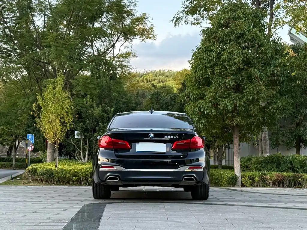BMW 5 Series — миниатюра 8