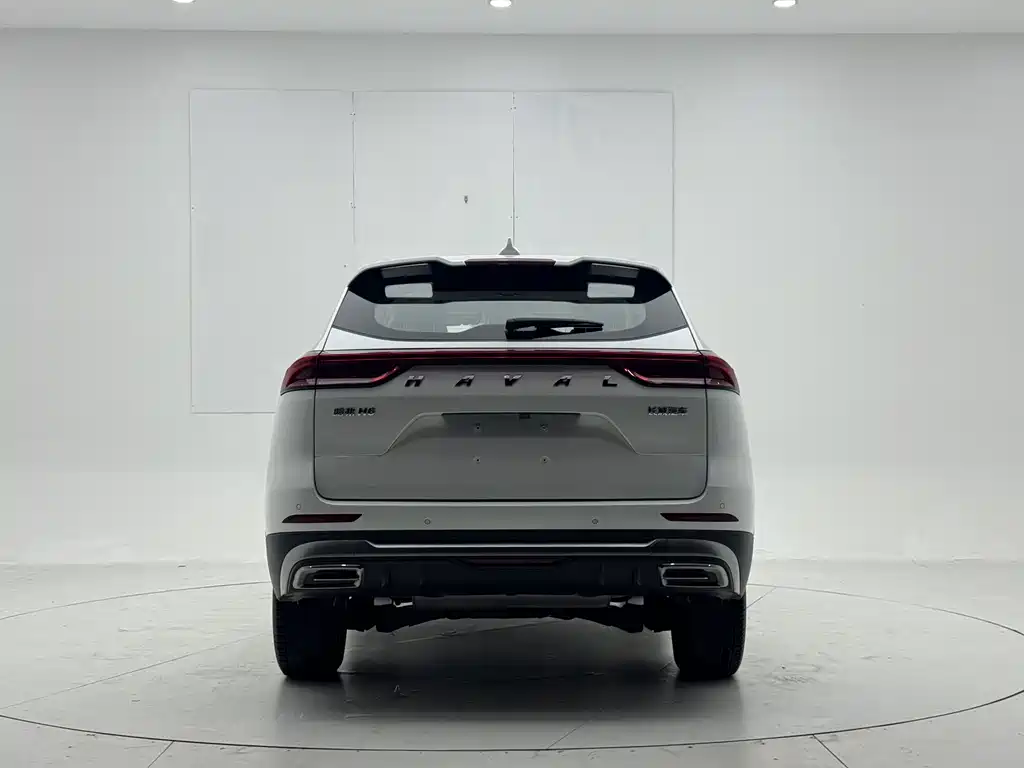Haval H6 — миниатюра 5