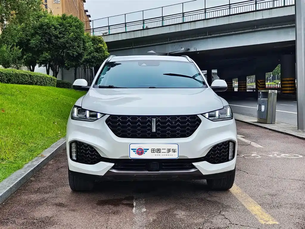 WEI PAI WEI BRAND VV6