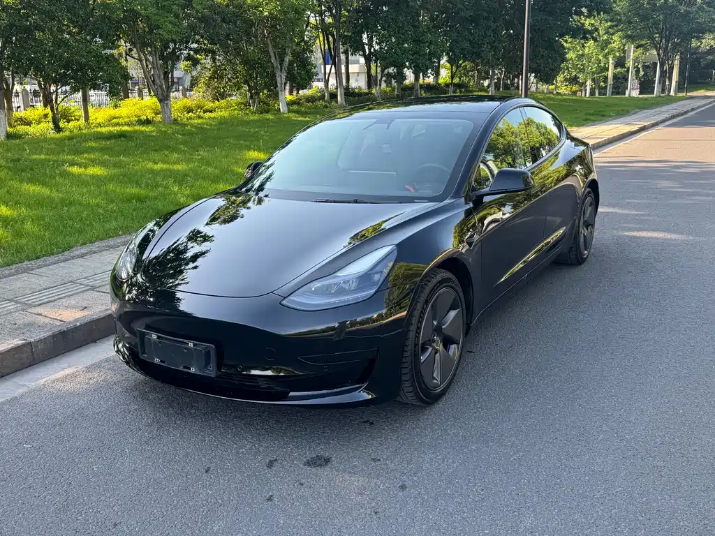 Tesla Model 3 2021