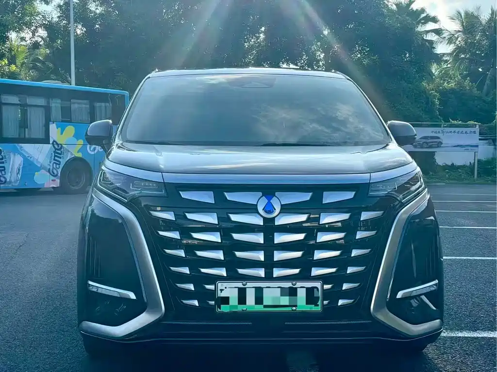 Denza Denza D9 — миниатюра 2