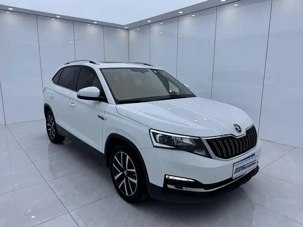 Skoda Kamiq — миниатюра 3
