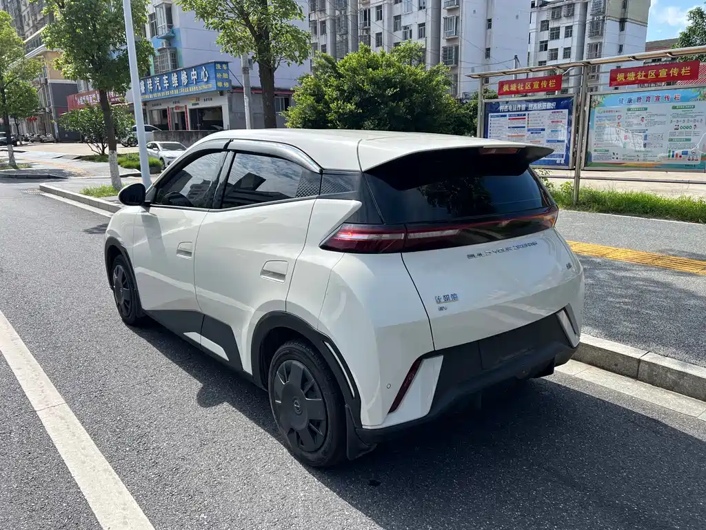 BYD Seagull