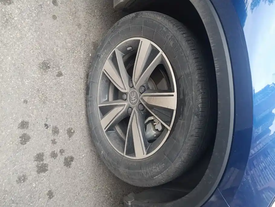 BYD Pro New Energy — миниатюра 6