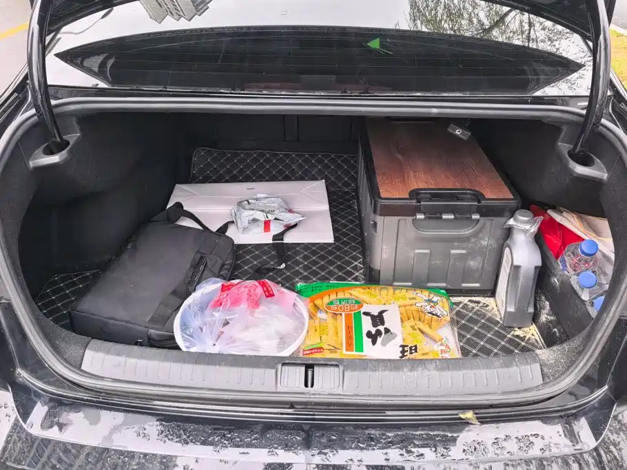 Volkswagen Magotan — миниатюра 4