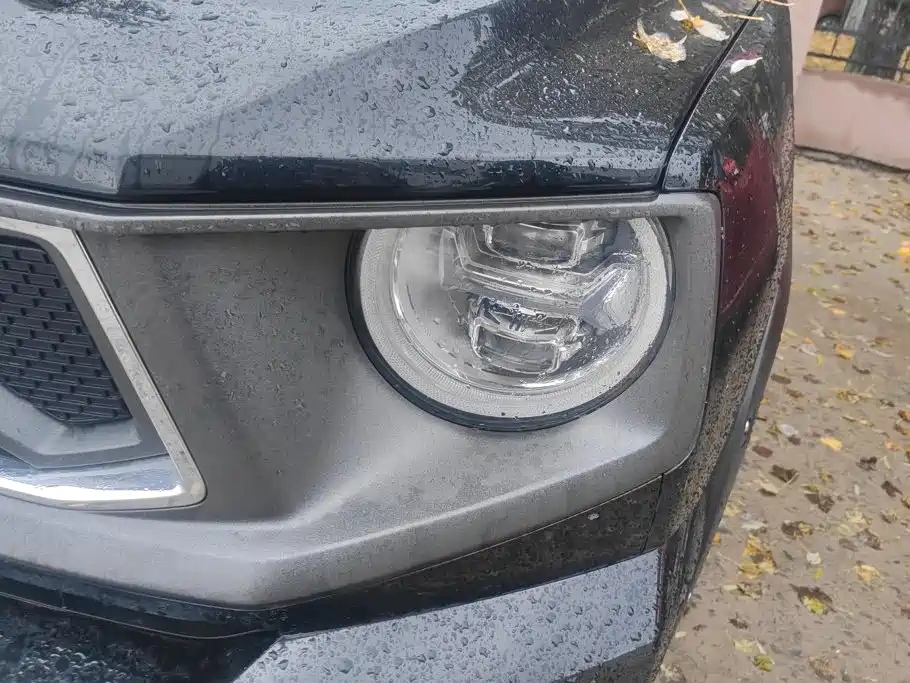 Haval Big Dog PLUS New Energy — миниатюра 5