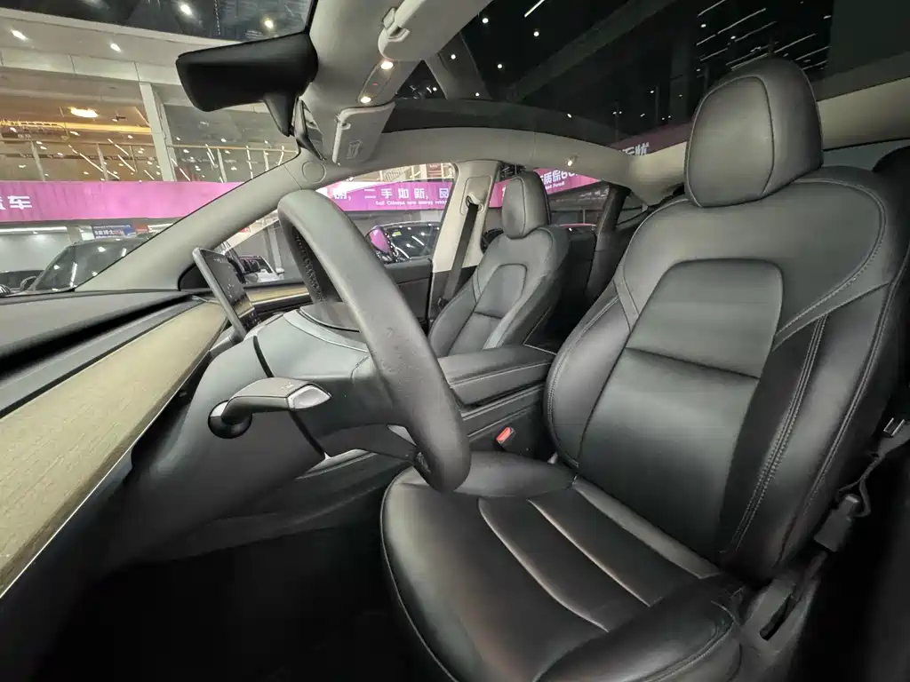 Tesla Model Y — миниатюра 10