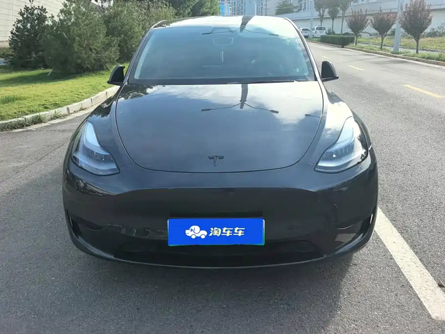 Tesla Model Y — миниатюра 2