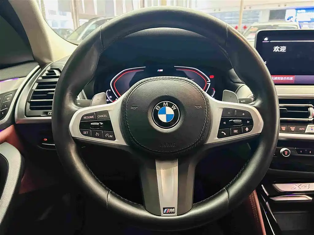 BMW X4 — миниатюра 16