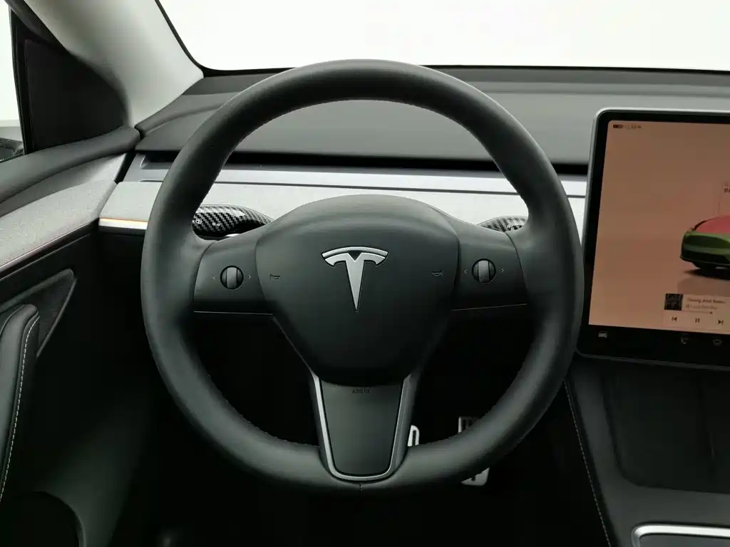 Tesla Model Y — миниатюра 11