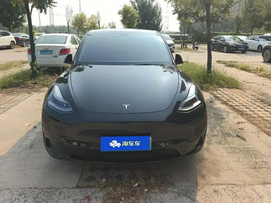Tesla Model Y — миниатюра 2