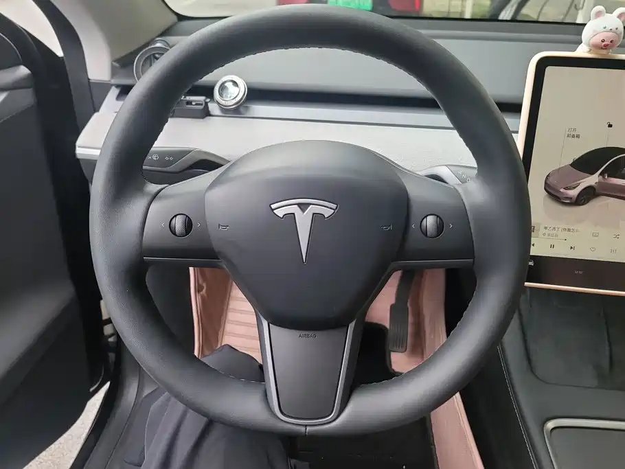 Tesla Model Y — миниатюра 15