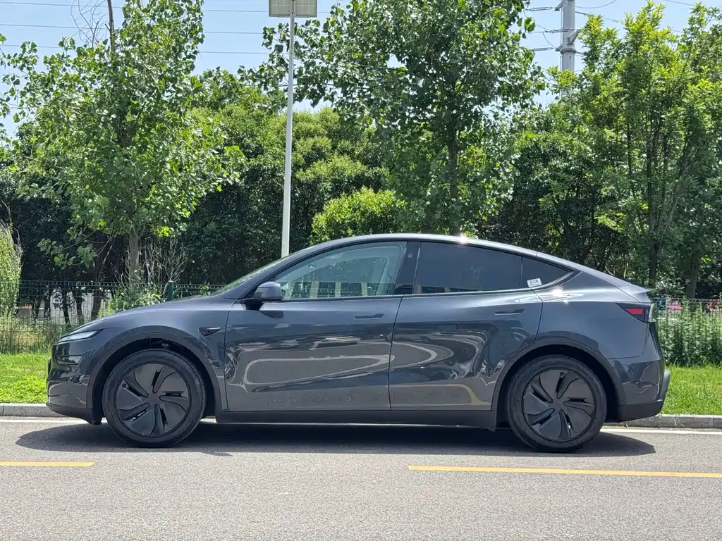 Tesla Model Y — миниатюра 14