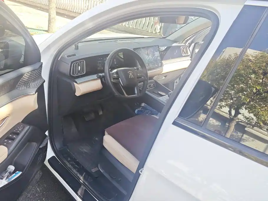 BYD Pro New Energy — миниатюра 9