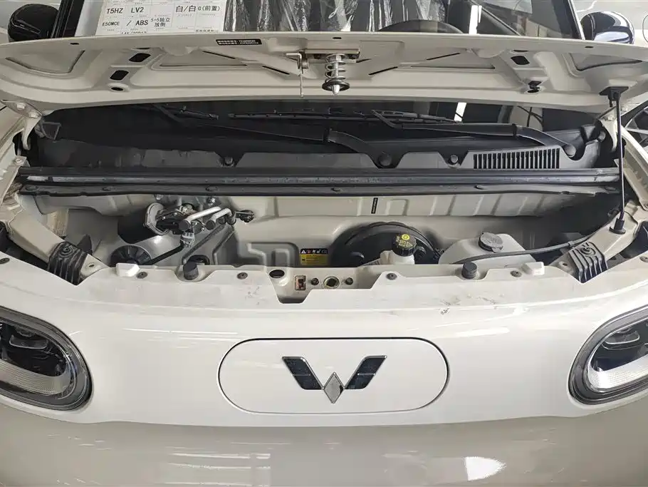 Wuling Mini EV MINIEV 2024 170km