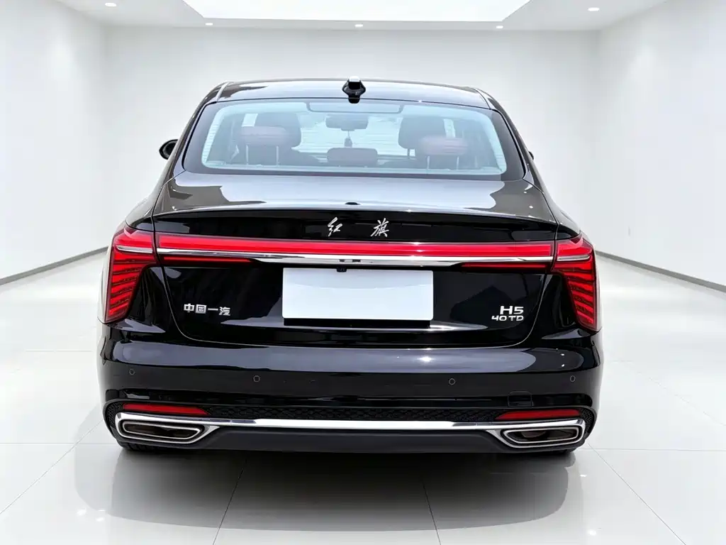 Hongqi Hongqi H5 — миниатюра 8