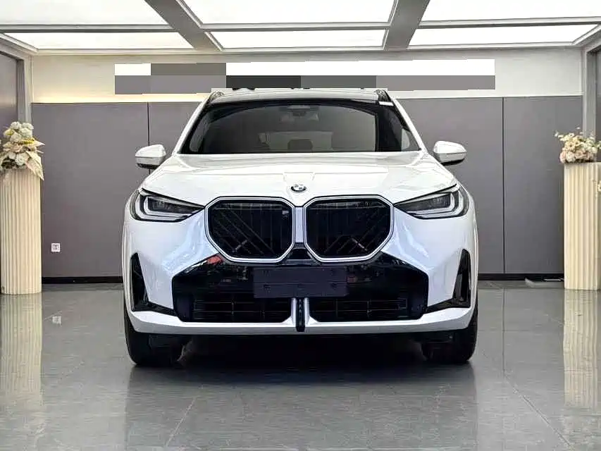 BMW X3 — миниатюра 2