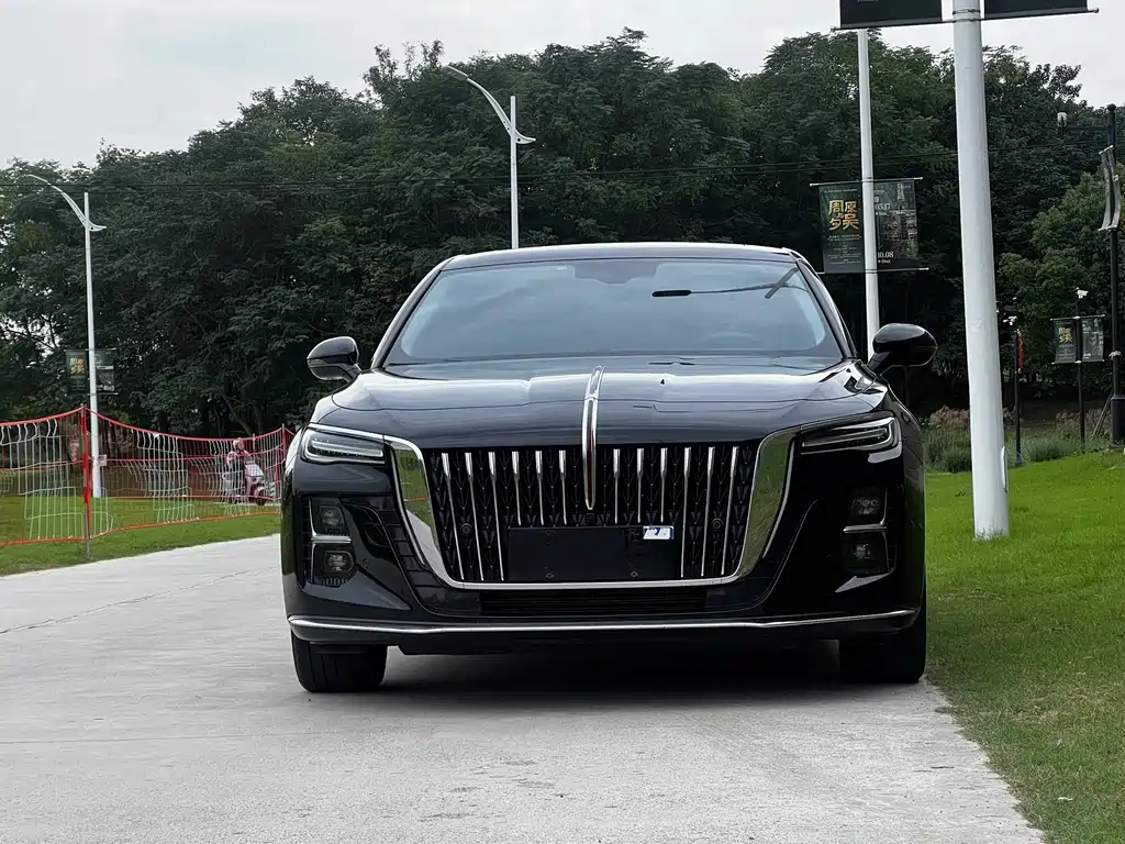 Hongqi Hongqi H5 — миниатюра 2