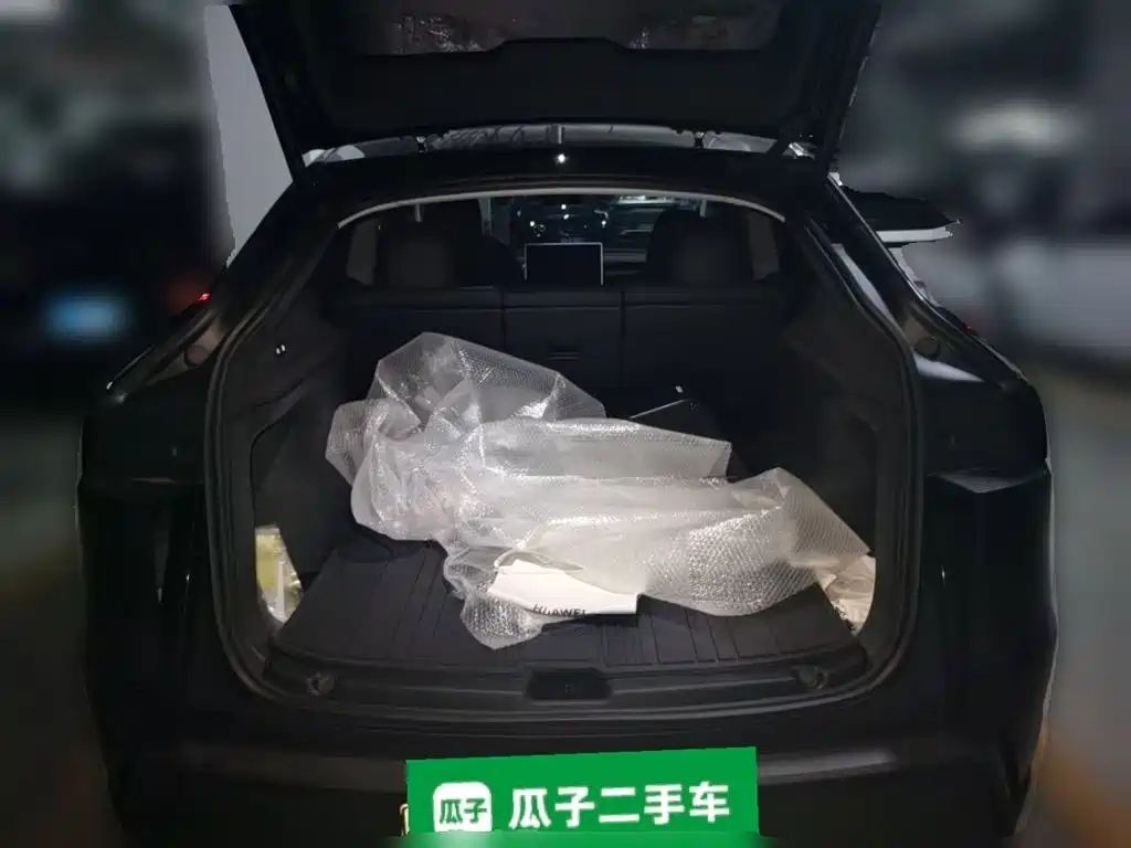 Tesla Model Y — миниатюра 15