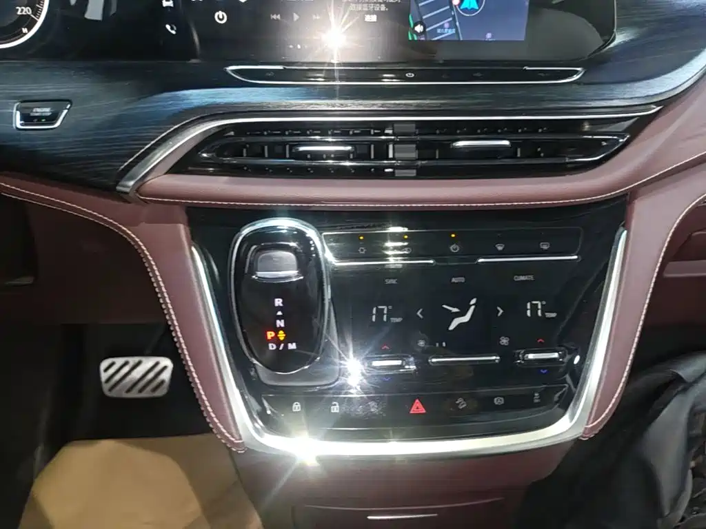 Buick GL8 — миниатюра 14