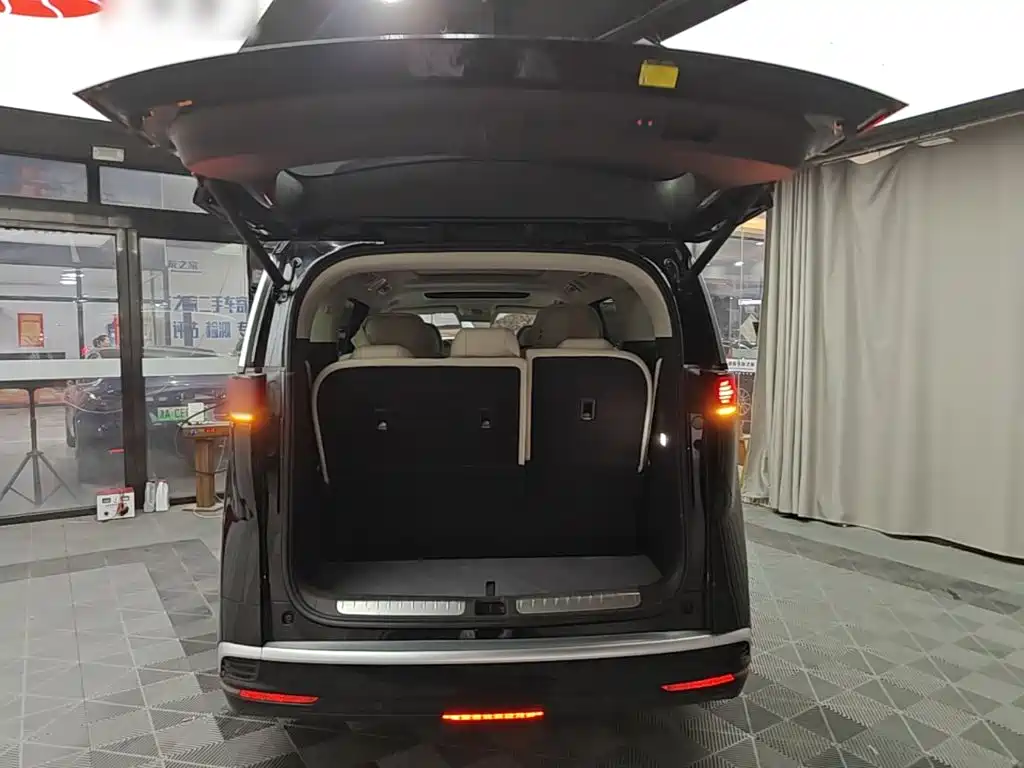 Denza Denza D9 — миниатюра 19