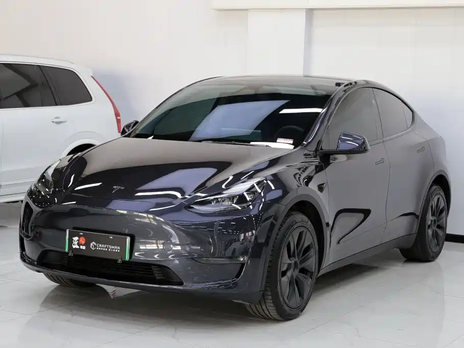 Tesla Model Y — миниатюра 15