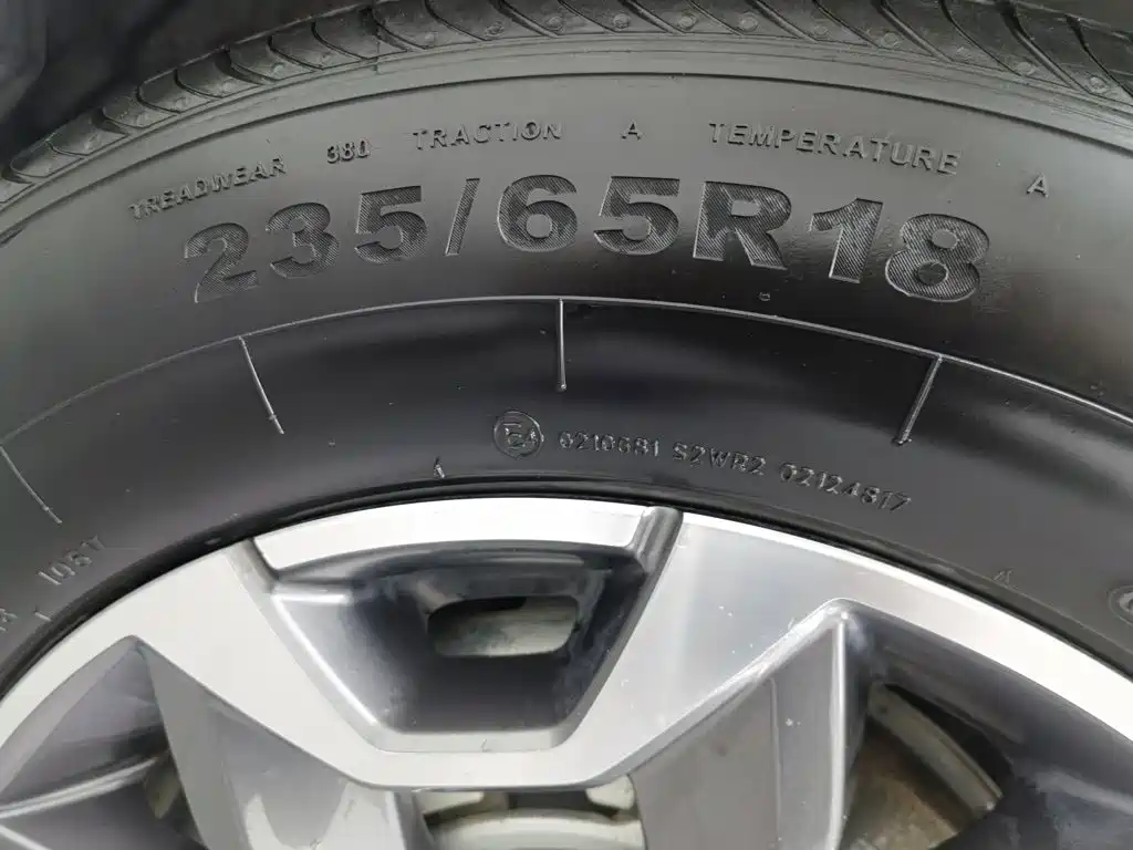 Haval Big Dog — миниатюра 24