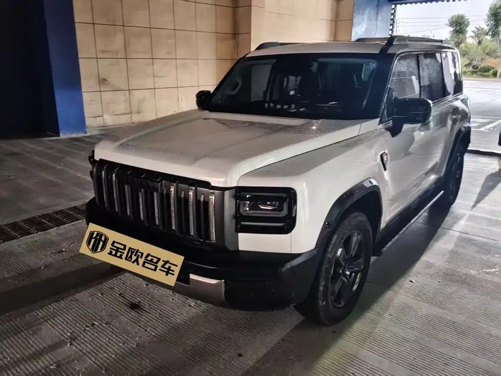 Haval Menglong Petrol