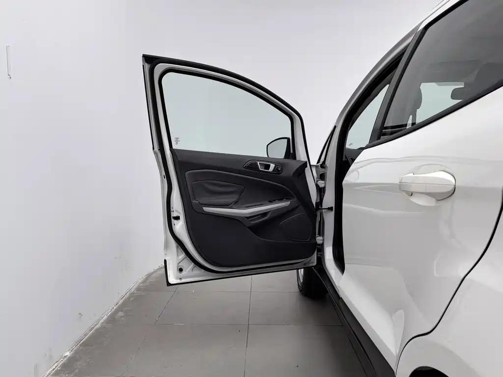 Ford Ecosport — миниатюра 8