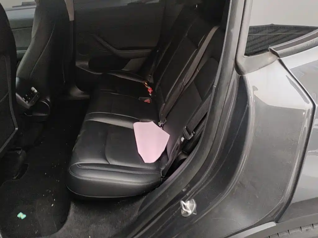 Tesla Model Y — миниатюра 17