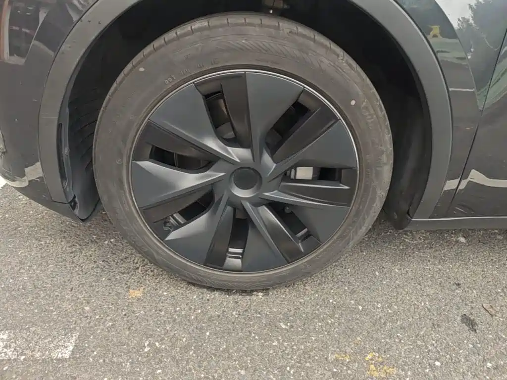 Tesla Model Y — миниатюра 23