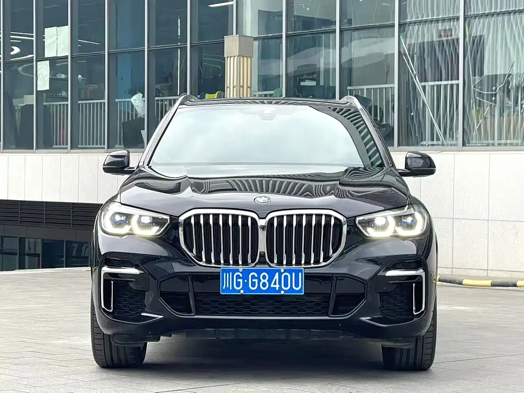 BMW X5 — миниатюра 2