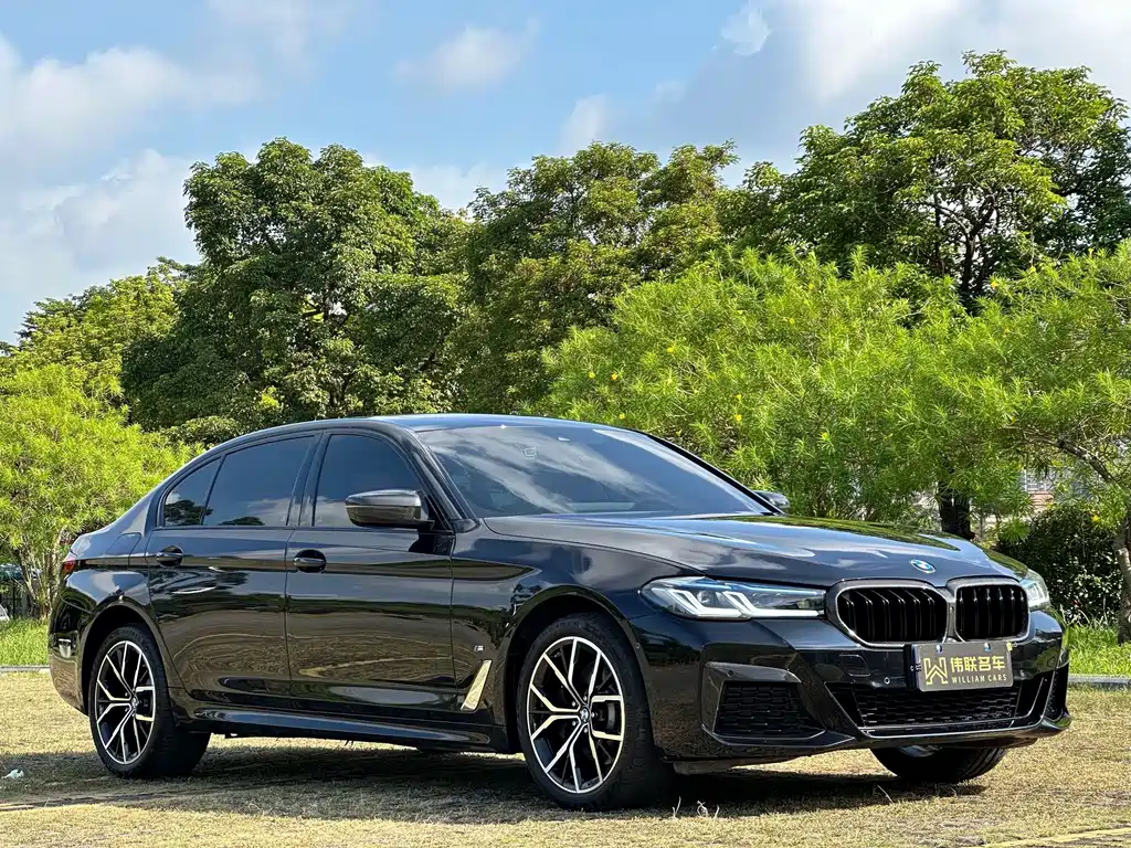 BMW 5 Series — миниатюра 3
