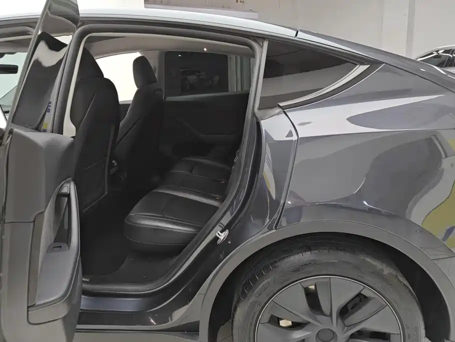Tesla Model Y — миниатюра 11