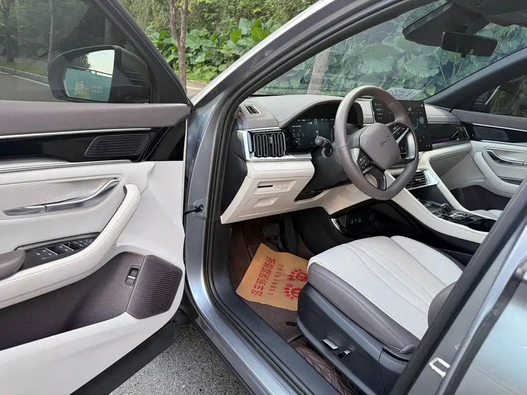 BYD PLUS New Energy — миниатюра 16