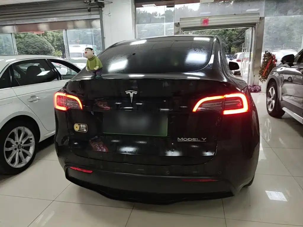 Tesla Model Y — миниатюра 6