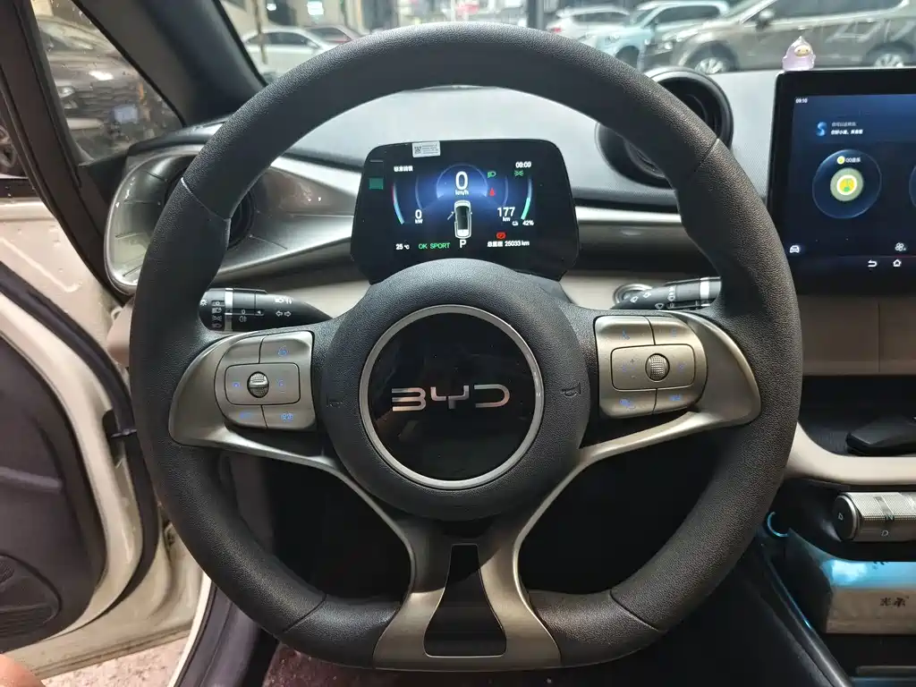 BYD Dolphin — миниатюра 8