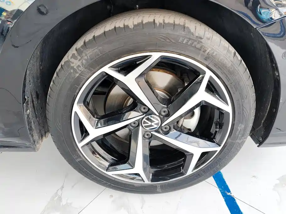 Volkswagen Passat Facelift 330TSI Starry Luxury Edition, фото 6