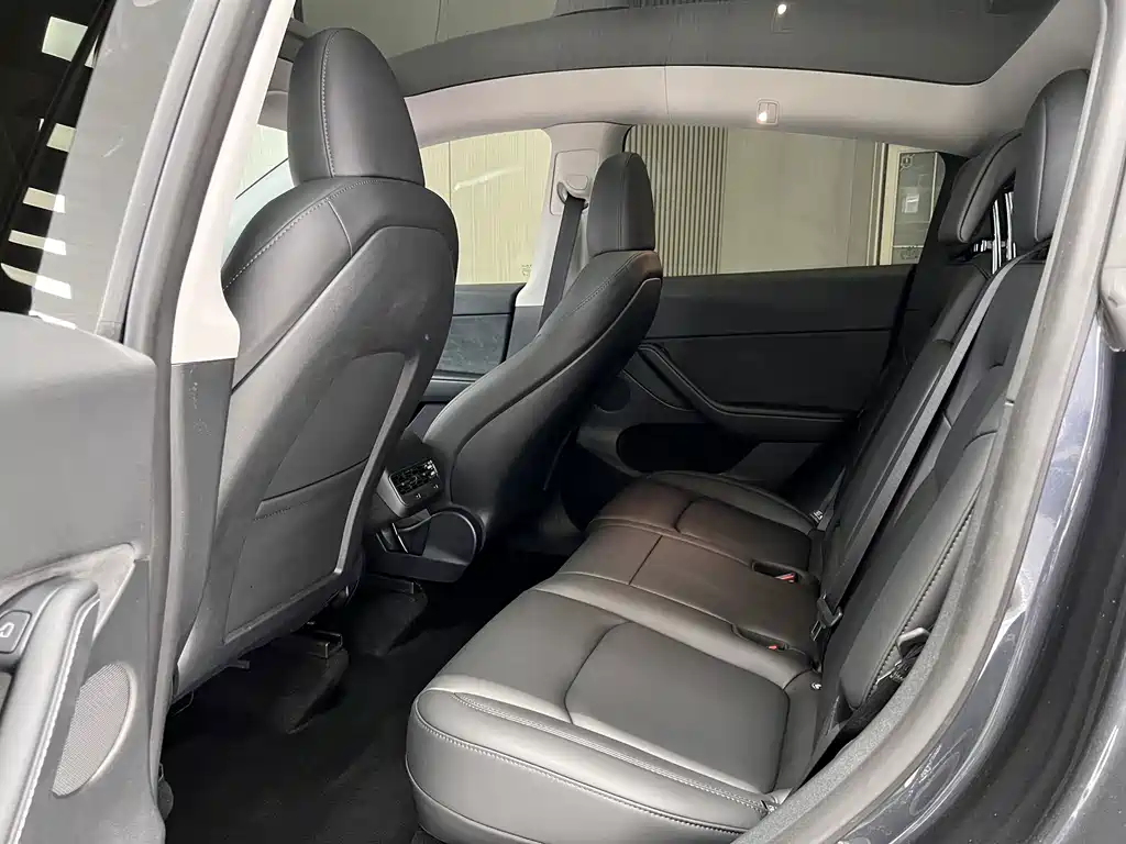 Tesla Model Y — миниатюра 7