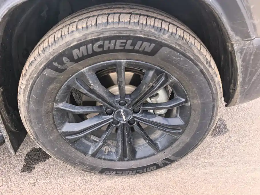 Haval Menglong New Energy — миниатюра 6