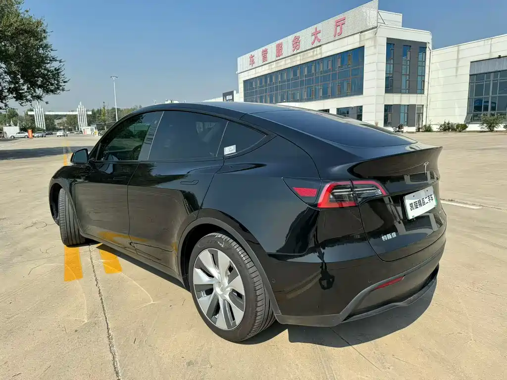 Tesla Model Y — миниатюра 6