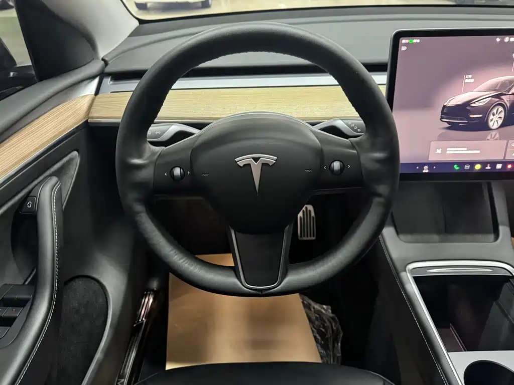 Tesla Model Y — миниатюра 7
