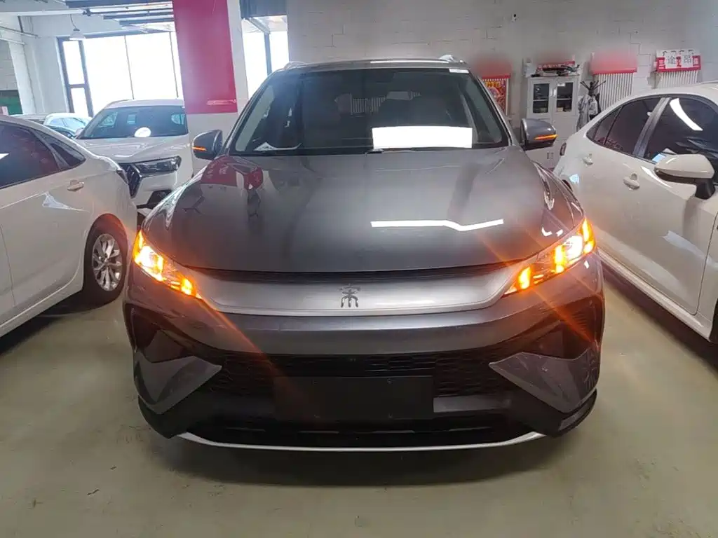 BYD Pro New Energy — миниатюра 3