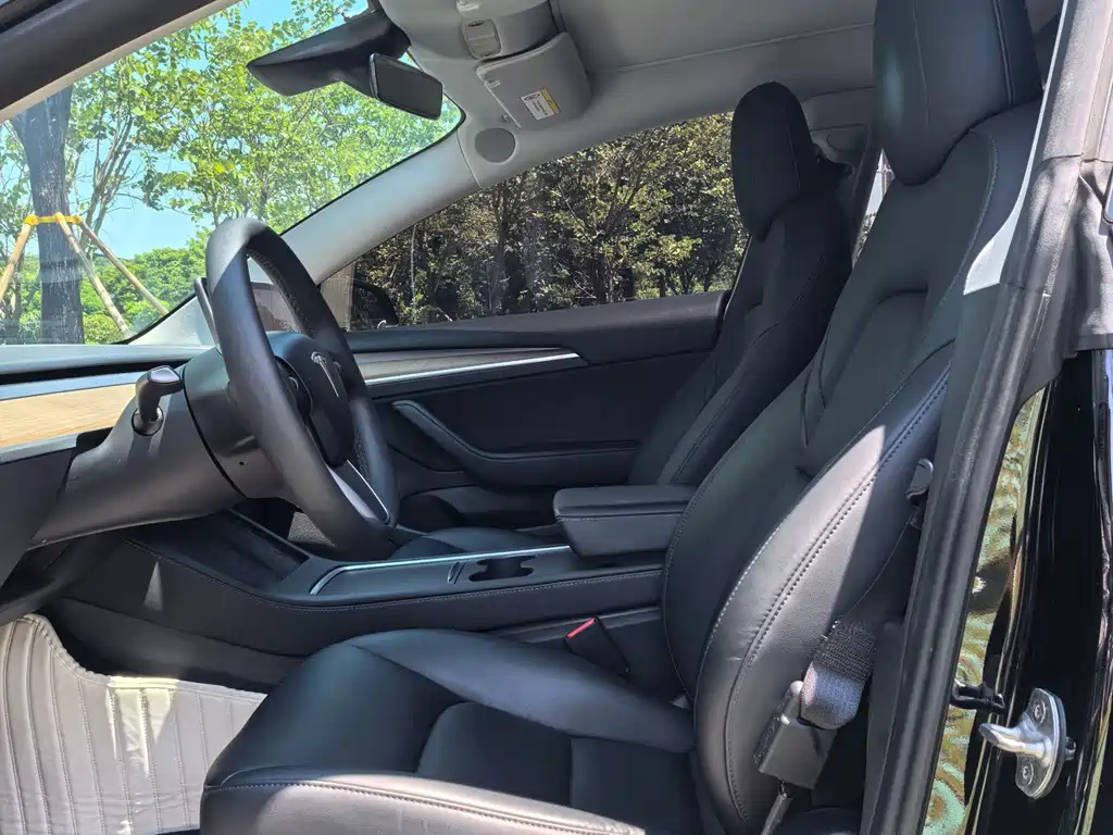 Tesla Model 3 — миниатюра 13