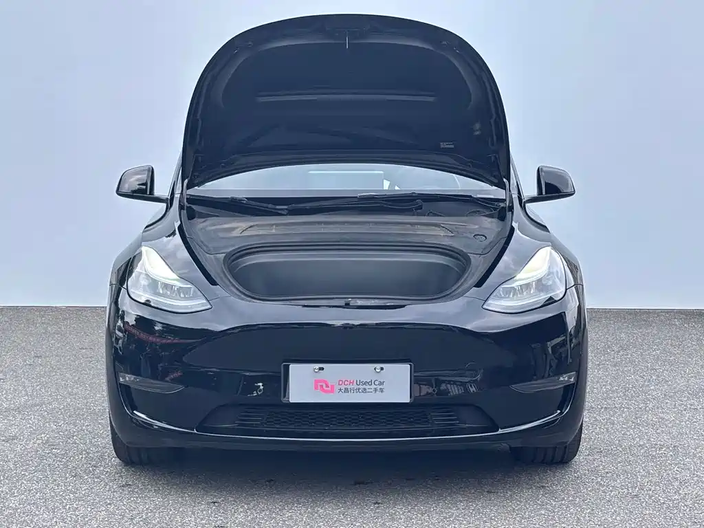 Tesla Model Y — миниатюра 7