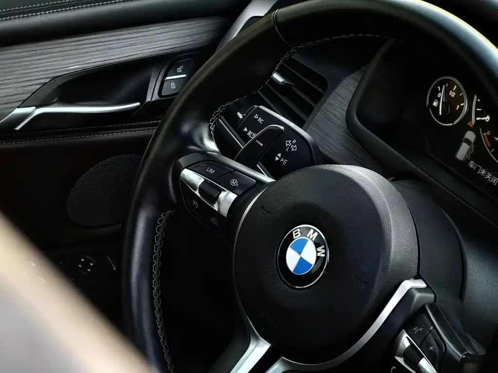BMW X5 (Import) — миниатюра 18
