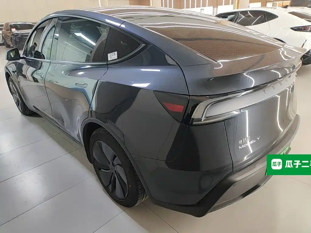 Tesla Model Y — миниатюра 5