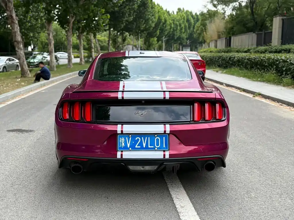 Ford Mustang — миниатюра 8